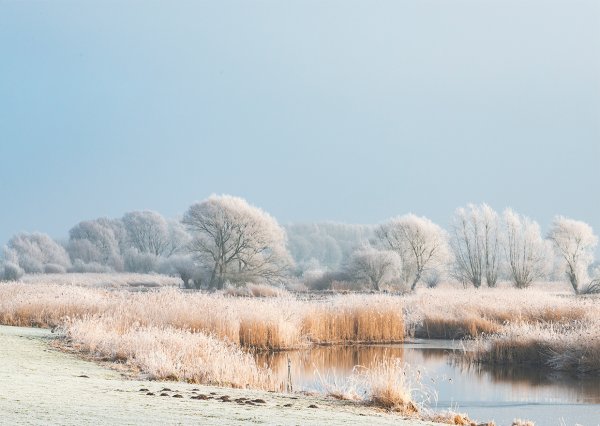 winter gearomatiseerd water